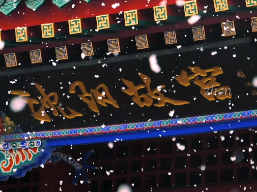 第三届冰天雪地也是金山银山 短视频大赛