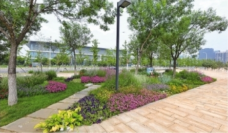 花境口袋公园 在街角就能欣赏到奇花异草