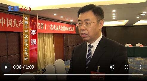 党代表有话说│李强营口积极争创全国民营经济发展示范城市