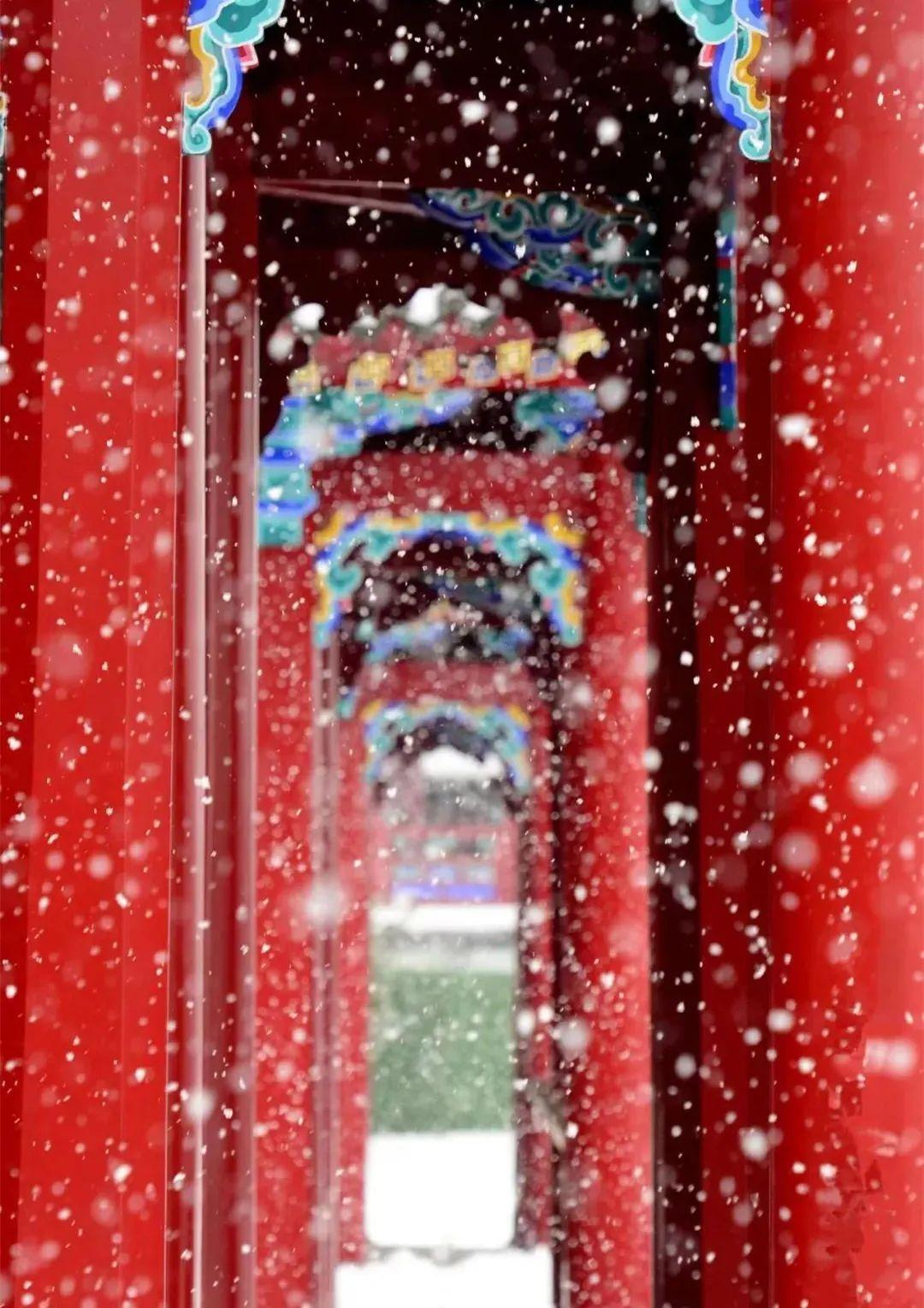 沈阳故宫迎来2023年入冬的第一场雪